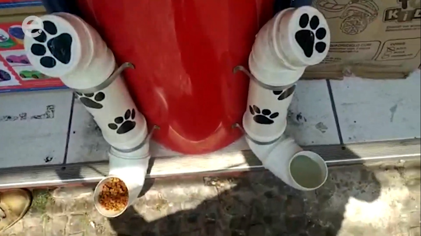 Loja Oferece Comedouro e Bebedouro para Cães de Rua, em Limeira